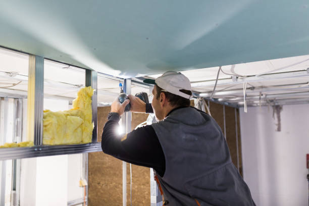 Best Specialized Insulation Services in Rosenberg, TX