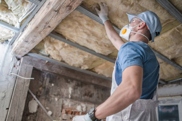 Best Geographic-Specific Insulation Services in Rosenberg, TX