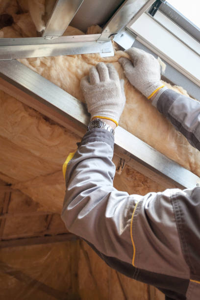 Types of Insulation We Offer in Rosenberg, TX