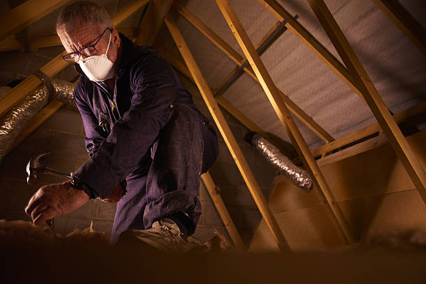 Best Blown-in Insulation in Rosenberg, TX
